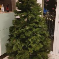 albero natale 