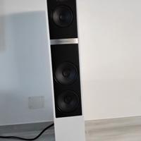 diffusori Martin Logan.