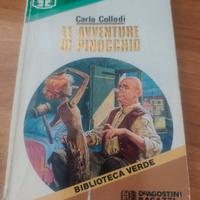 libro le avventure di pinocchio 