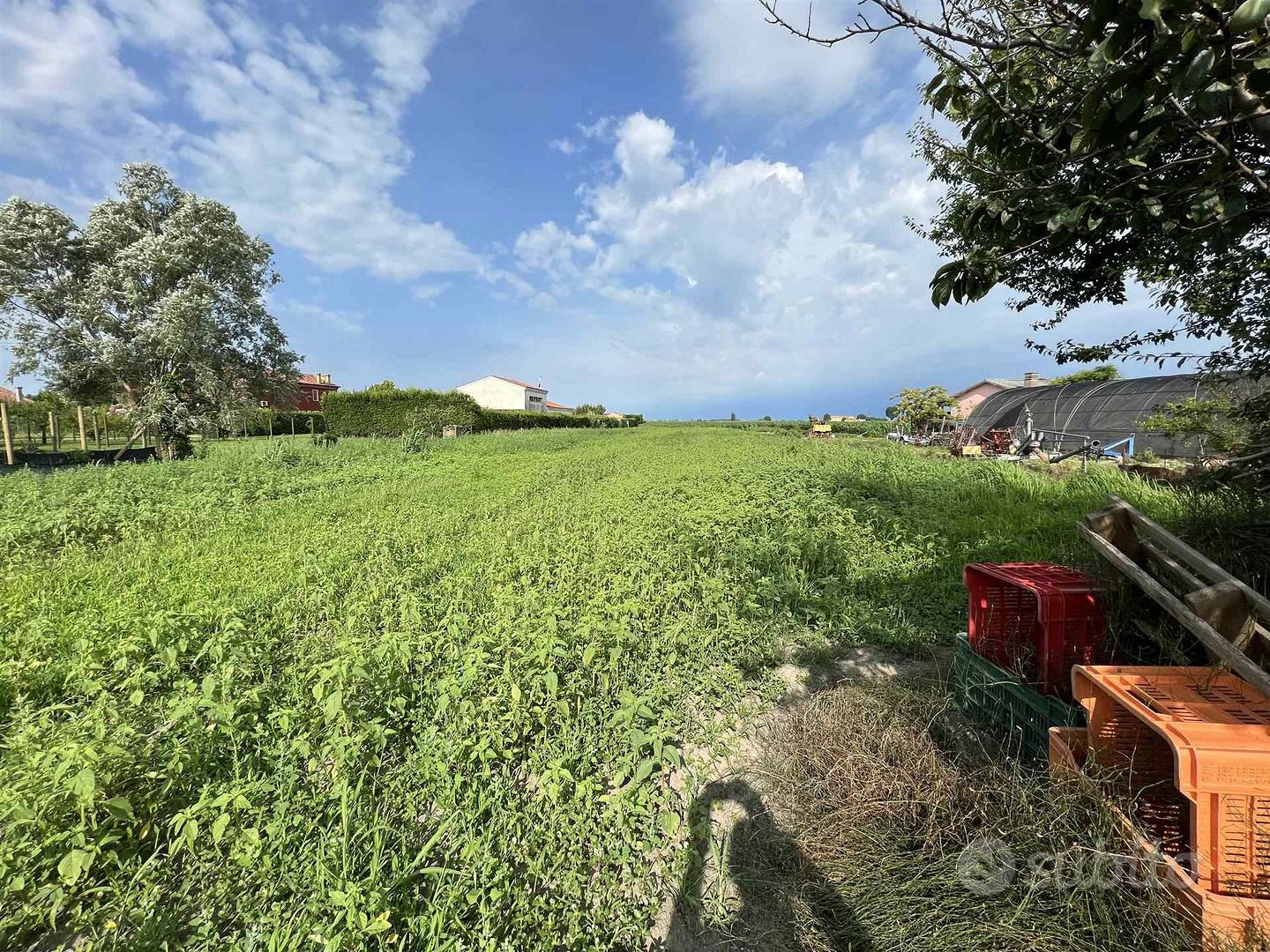 Rif.B463| terreno agricolo chioggia - Vista 5