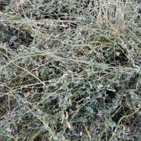 Paglia in rotoballe e altro