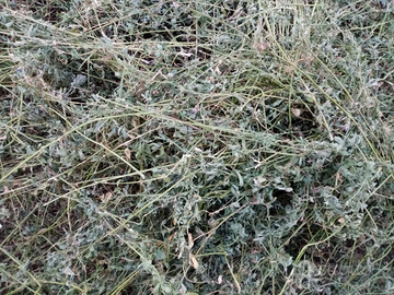 Paglia in rotoballe e altro