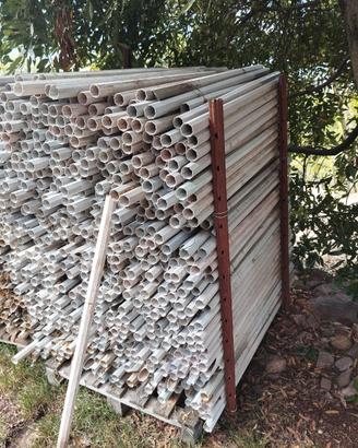 Tutore , palo sostegno per piante e vigneto