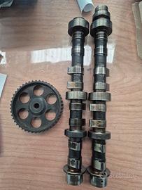 alberi a camme elefantino 