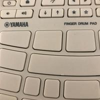 Yamaha FGPF 30