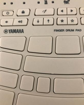 Yamaha FGPF 30
