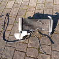 Radiatore Aprilia RS4 125 2011
