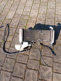 Radiatore Aprilia RS4 125 2011