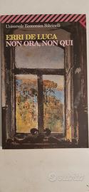 libri Erri De Luca 