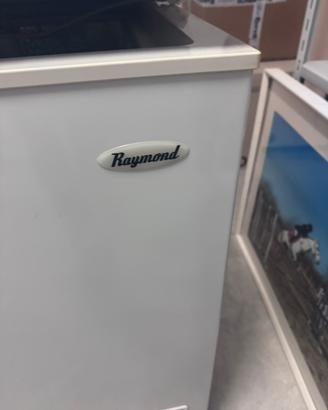 Congelatore a pozzetto Raymond