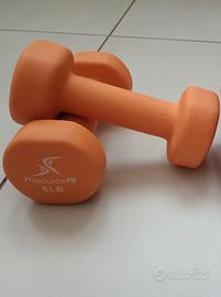 pesetti palestra