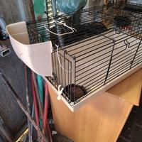 gabbia per conigli nani  