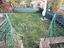 Immagine 26