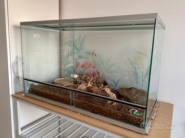 Teca grande per rettili - CREAS🇮🇹 Made in Italy