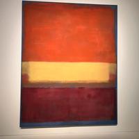 Dama di compagnia culturale