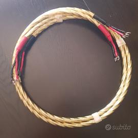 Cavi Qed Genesis Spiral
