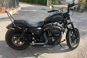 HARLEY DAVIDSON XL883
