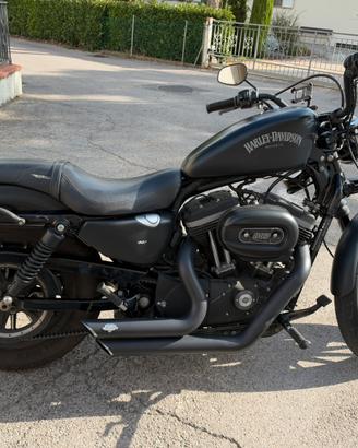 HARLEY DAVIDSON XL883
