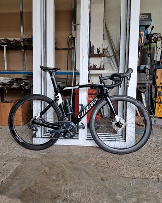 wilier 