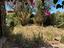 Immagine 22