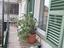 Immagine 17