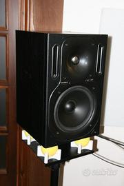Behringer B2031A