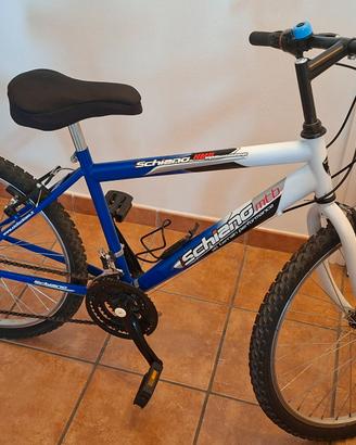 Bicicletta 