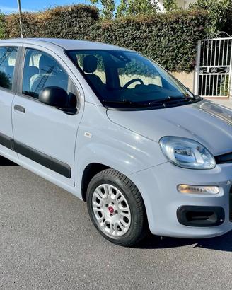 Fiat Panda 1.2 BENZINA EASY