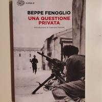 Libro "Una questione privata"