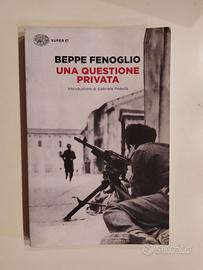 Libro "Una questione privata"