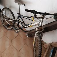 bicicletta 