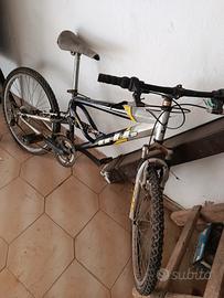 bicicletta 