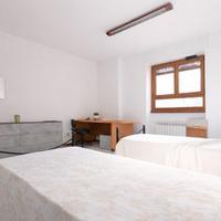 Spaziosa stanza doppia per studenti universitari