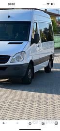 MERCEDES Sprinter 4ªs.(W906) - 2010
