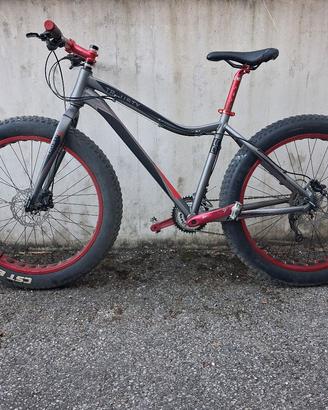 fat bike