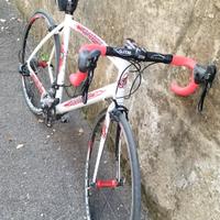 bicicletta daccordi