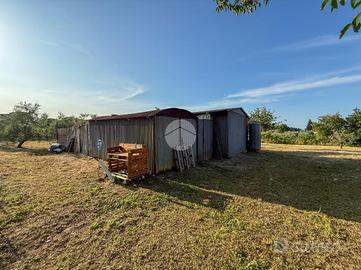TER. AGRICOLO A MISANO ADRIATICO