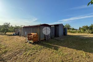 TER. AGRICOLO A MISANO ADRIATICO