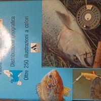 Libro la pesca e i pesci di acqua dolce