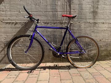 Mountain Bike Vintage uomo