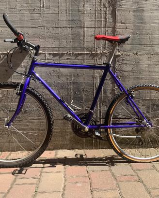 Mountain Bike Vintage uomo