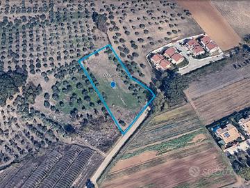 Terreno edificabile
