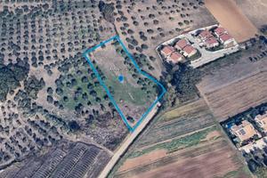 Terreno edificabile