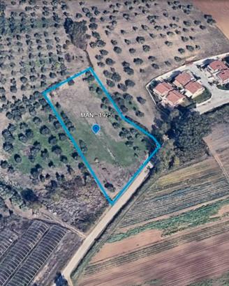 Terreno edificabile