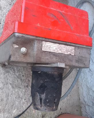 caldaia a gasolio