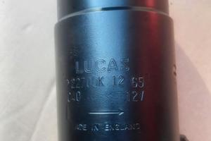 Dinamo Lucas C40