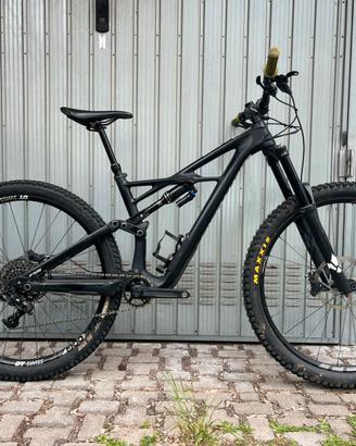 Specialized enduro 2018