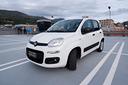 fiat-new-panda-1-2-benz-5-posti-euro6d