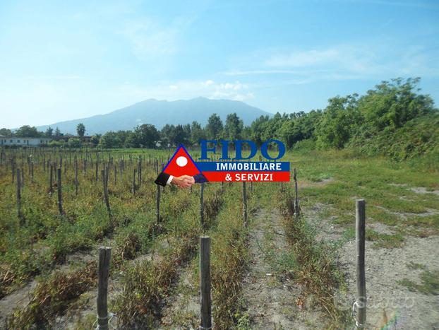 Terreno agricolo di 24.300 mq fronte strada