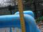 Immagine 6